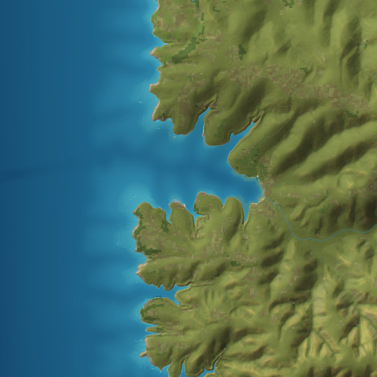 Area map of a green coast with a river mouth, shaded relief