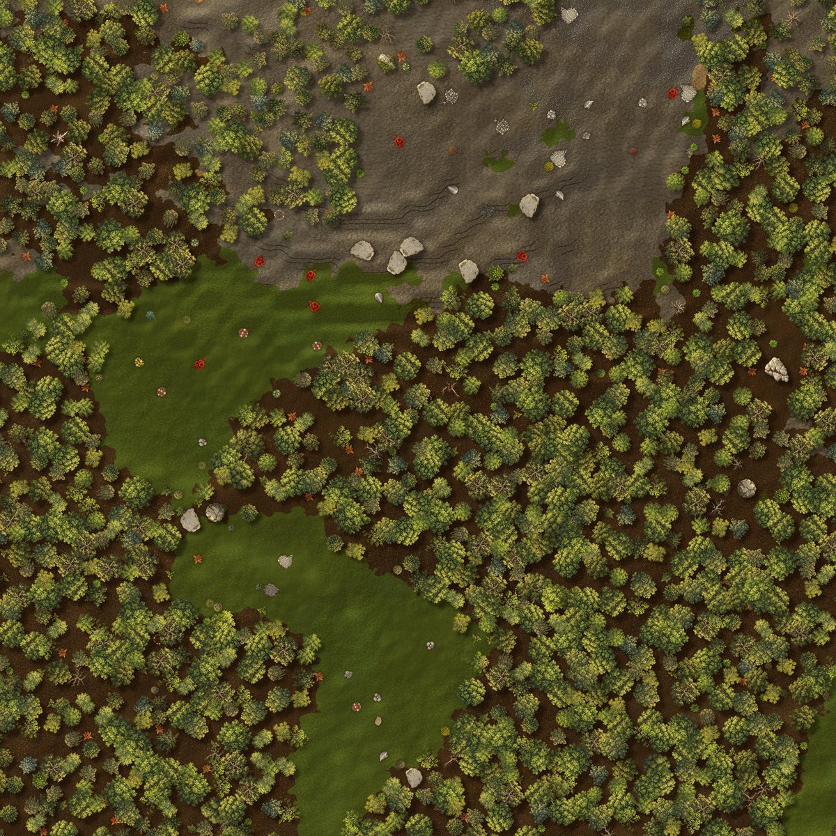 Dense forest canopy over a rocky hillside